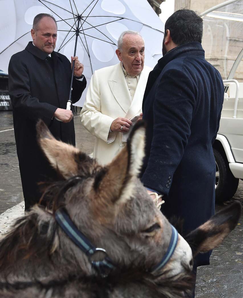 orunesu-pope-donkey-milk